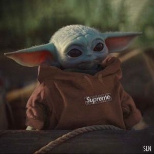 Meet your Posher, Damien